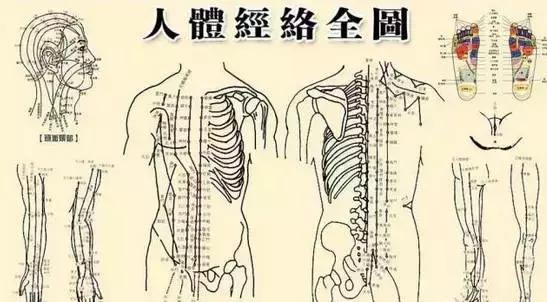 为什么要坚持推经络? 为什么要坚持推经络?