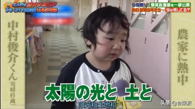 一个渴望成为农民的日本孩子既有趣又感人 一个渴望成为农民的日本孩子既有趣又感人