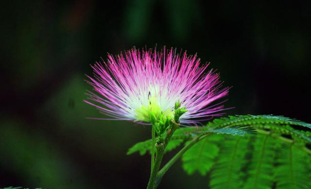 提醒已婚男女 离婚 意味 着3件事 没看明白就别冲动