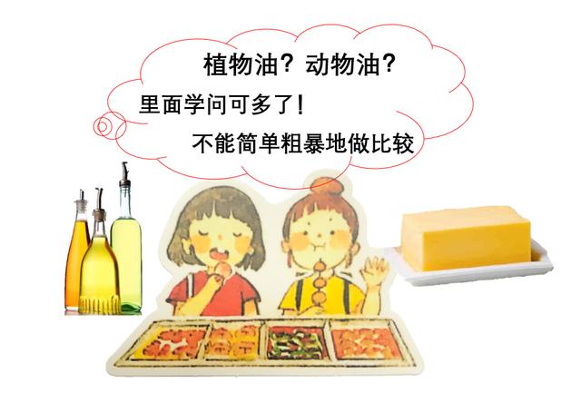 植物油 动物油 吃哪个更健康 说法总在变 你弄明白了吗