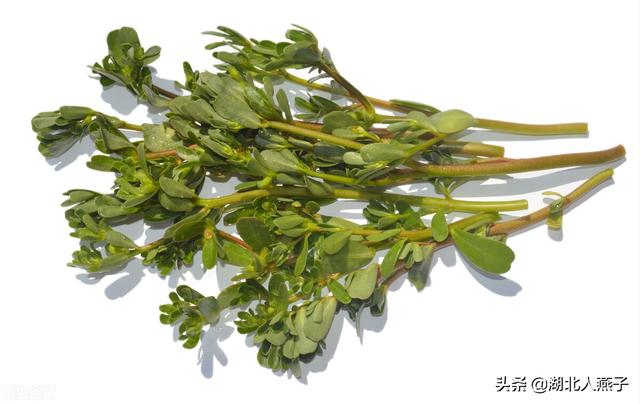 春天这8种野菜 一定先焯水 为了家人健康 这步再忙