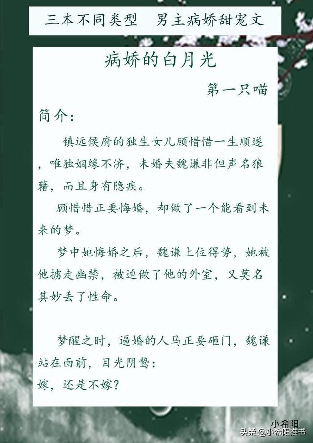 三本男主病娇甜宠文追妻火葬场 病娇的白月光 想你想疯了 今日头条