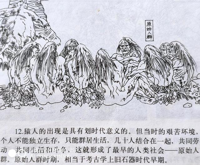 人类的起源