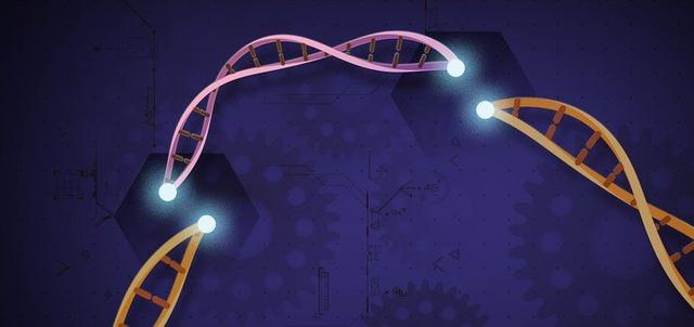 首个体内CRISPR基因编辑临床试验结果公布!有望开启医学新时代