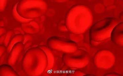 西大科研团队突破“人造血”研发国际难题