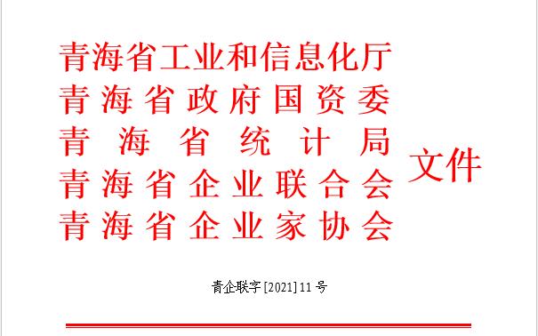 2021年青海企业50强名单公布